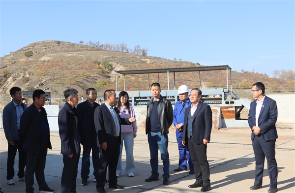 党委书记、董事长刘卫东前往大兴场站进行项目调研.jpg